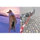 thumbnail image 3 of Correa reflectante para entrenamiento de deslizamiento de cuerda, correa para mascotas con cuerda para escalar montañas para perros y gatos, 3 of 5
