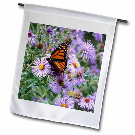 Download 3dRose Butterfly Flowers Monarch Orange Purple - Garden ...