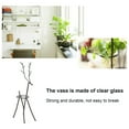 thumbnail image 6 of Deer Shape Wrought Iron Plant Stand Transparent Glass Hydroponic Plant Vase For Living Room, 6 of 21
