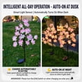 thumbnail image 2 of Lámpara solar de jardín con forma de flor de camelia, luz LED cálida para decoración de patio | Ramas ajustables con encendido automático al anochecer y apagado al amanecer, 2 of 6