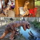 thumbnail image 4 of Disfraz Inflable de Dinosaurio Yjmei para Adulto, 4 of 5