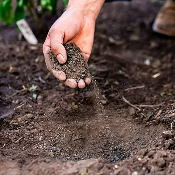 Geocharged Organic Fertilizer Biochar Plus Chicken Manure Indoor and Outdoor Plant Food, Kid and Pet Safe, No Odor for Soil, Flowers, Potted Plants, Raised Beds, Vegetable Garden, Compost, 10 lb