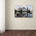 thumbnail image 3 of Daniel F 'Natures Awakening' Canvas Art, 3 of 3
