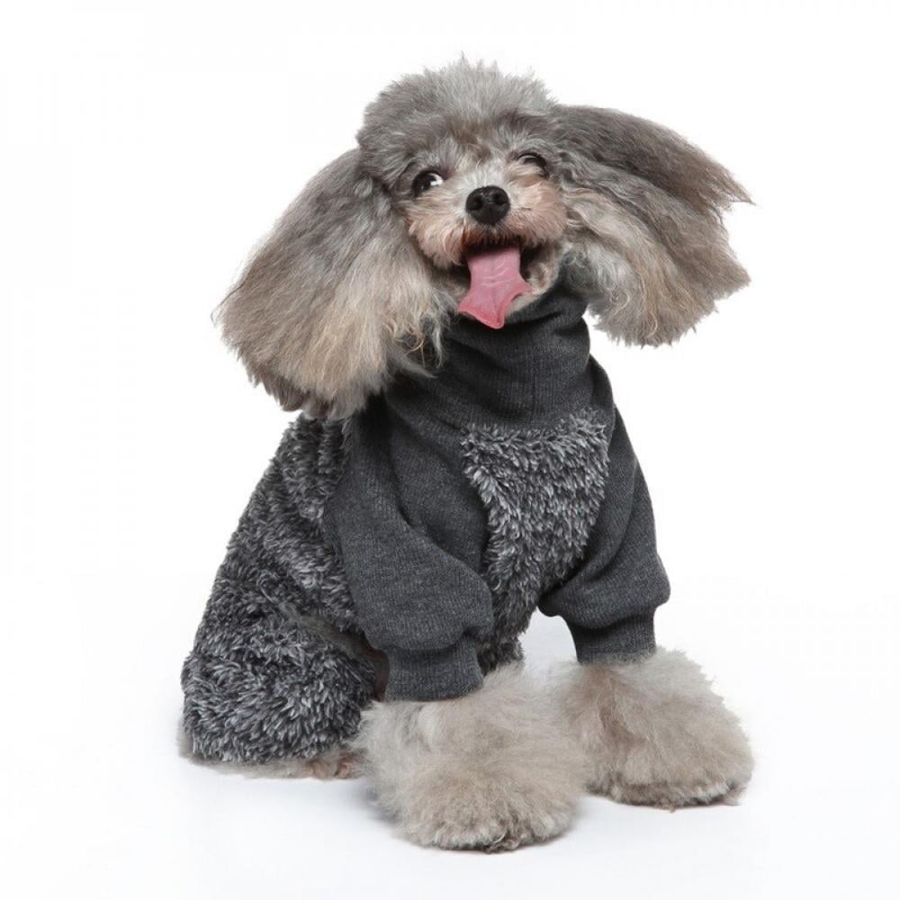 teddy dog apparel