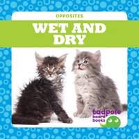 Wet and Dry (Board Book)
