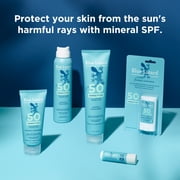 Blue Lizard Mineral SPF 15 Lip Balm, Nourishes & Protects, 0.13 oz