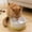 White#919, variant on Heated Pet Water Bowl for Dogs Cats Chickens Ducks Birds with Chew Resistant Cord, Ceramic Constant Temperature Outdoor Winter Water Dish