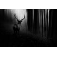 thumbnail image 2 of Reindl, Doris 18x13 Gold Ornate Wood Framed with Double Matting Museum Art Print Titled - Stag, 2 of 4