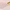 Pink, variant on Kate and Laurel Lipton Decorative Mirror Tray with Polished Metal Handles, Gold