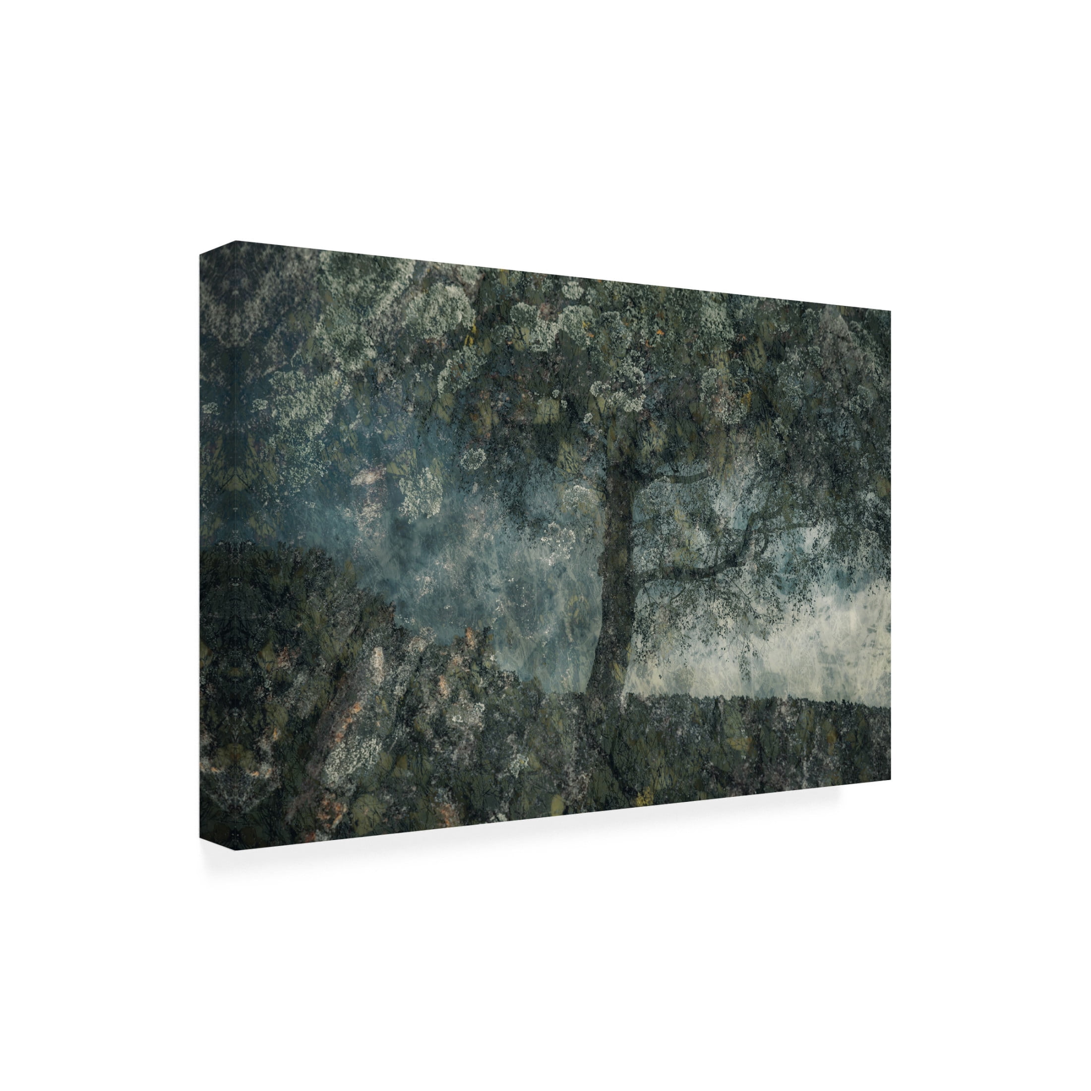 Canvas Wall Art - Delphine Margau 'Rocks And A Tree' Wall Art for Living Room, Bedroom, or Office Décor by Trademark Fine Art - 24 x 16 Inches
