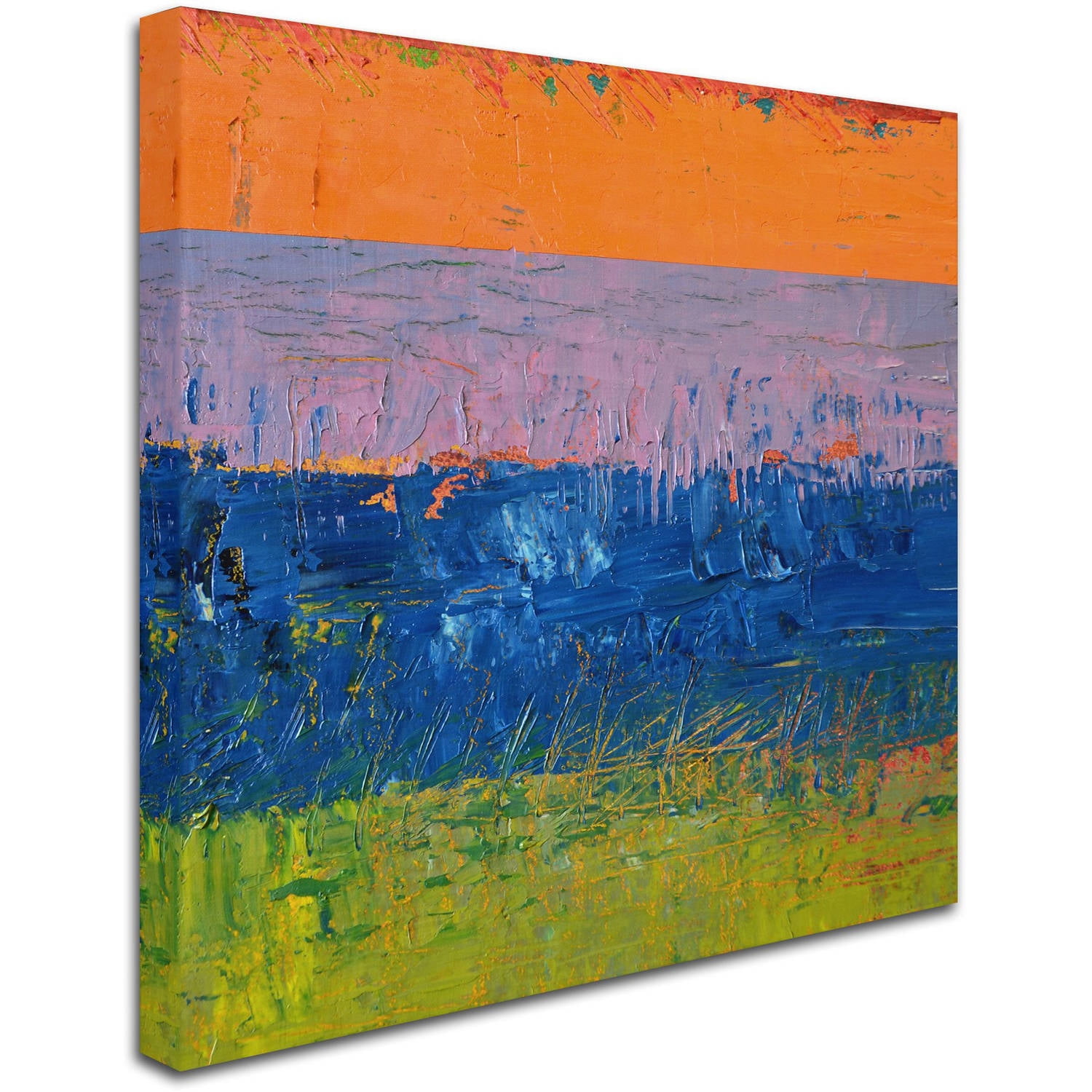 Trademark Fine Art "Thistle Field" Canvas Art by Michelle Calkins