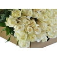 thumbnail image 2 of KaBloom : Bouquet of Fresh 25 White Roses, Next-Day Delivery, Gift for all occasions, 2 of 4