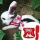thumbnail image 5 of Correa Para Mascotas, Patrón De Fresa De Dibujos Animados, Conjunto De Arnés De Correa Para Animales, Suministros Para Mascotas, Correa Para Caminar De Conejito, Hámster Para, 5 of 8