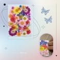thumbnail image 4 of Flores secas naturales Artesanía en relieve Ramos de flores prensadas Decoraciones florales secas Regalos de suministro de hogar para tarjetas de boda Vela primavera Scienceny HA010752-02, 4 of 7
