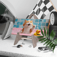 thumbnail image 3 of 1 Pcs 2D Flat License Plate Covers & Frames, A cat For Decorative Front, Waterproof For Decoration Aluminum License Plate Covers & Frames Cover For Men Women, 12" X 6", 3 of 6
