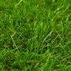 thumbnail image 6 of vidaXL Artificial Grass Light green, dark green and brown 4.9'x32.8'/1.6", 6 of 6