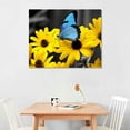 thumbnail image 3 of COMIO  Sunflower Canvas Wall Art Black and White Yellow Flowers and Blue Butterfly Picture Prints for Home Decor, 3 of 5