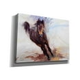 thumbnail image 2 of Epic Graffiti 'Horse Having Fun' by Robert Campbell, Canvas Wall Art, 16"x12", 2 of 8