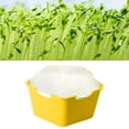 thumbnail image 4 of Bandeja para iniciar semillas frescas con tapa. Observación de plantas. Bandejas para iniciar plántulas sin BPA. Amarillo, 4 of 9
