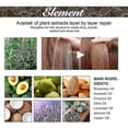 thumbnail image 5 of 3x Hair Growth Products Fast Growing Hair Essential Oil Beauty Hair Care Prevent Hair Loss Liquid Scalp Treatment Hair Growth,Rosemary Essential Oil R, 5 of 5