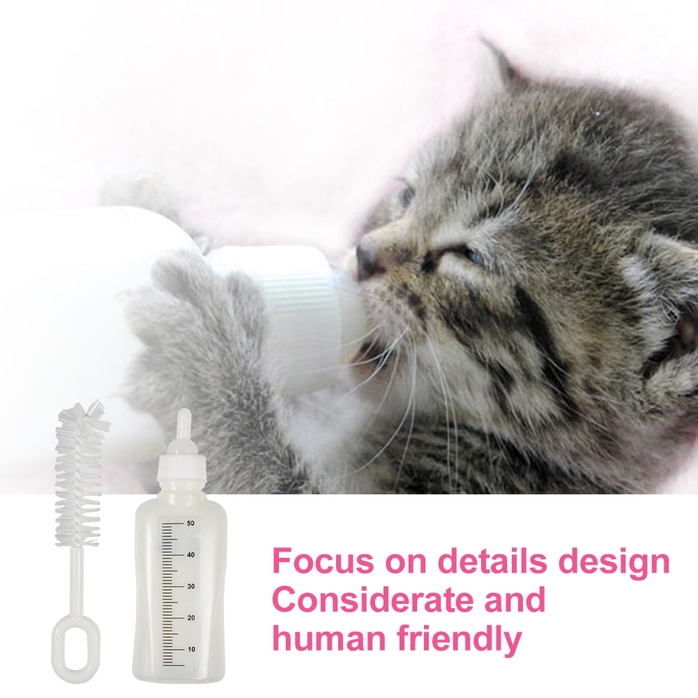 kitten baby bottle walmart