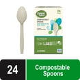 thumbnail image 2 of (4 pack) Great Value Disposable Compostable Spoons, 24 Count, 2 of 9
