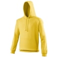 thumbnail image 1 of Awdis Sweat à Capuche / Chandail à Capuchon Universitaire, 1 of 2