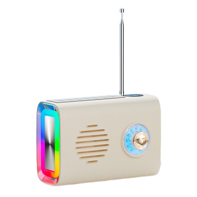 Haut-parleur Bluetooth Rechargeable Câble de Diffusion Extérieur Radio Portable de Camping
