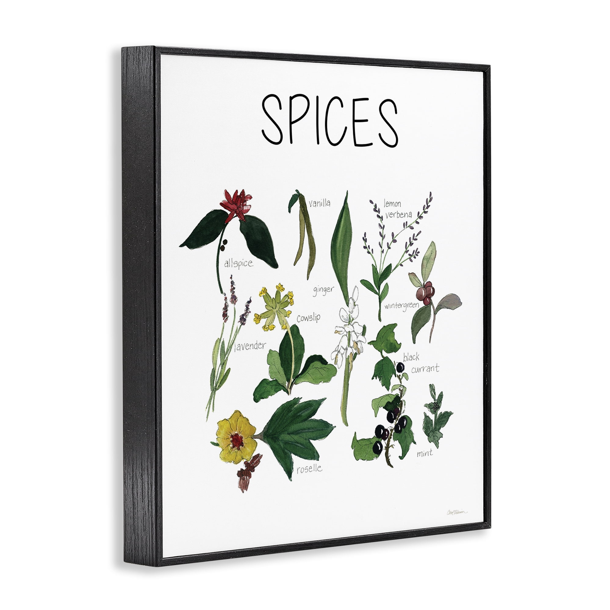 Stupell Industries Spices Identification Chart Black Framed Giclee Art, design by Carol Robinson