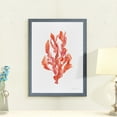 thumbnail image 3 of Coral Kelp II - Barnwood Framed - 23 x 31 - Grey, 3 of 4