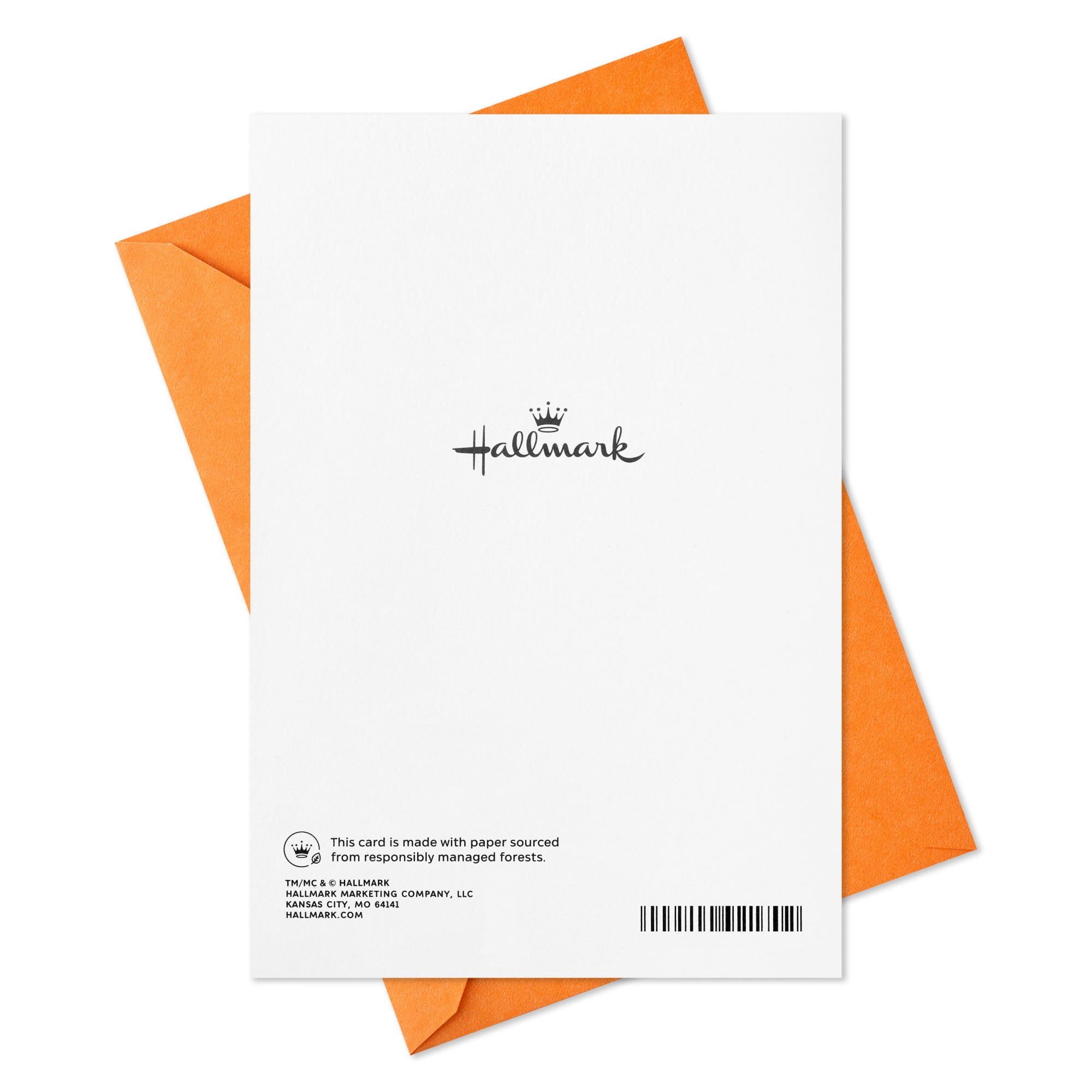 Hallmark Congratulations Card (Smiling Along With You)