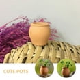 thumbnail image 3 of 4-Pack Small Terracotta Flower Pots, Clay for Indoor and Outdoor Gardening, and Herb Growing Containers, 3 of 6