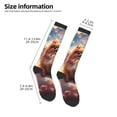 thumbnail image 2 of Daiia Sports Socks Cute Cloud Pomeranian Printed Novelty Crew Socks for Men Women Knee High Socks Cotton Socks Soft & Breathable Support Unisex Socks, 2 of 9
