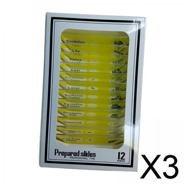 3x12 Piezas Portaobjetos De Microbiología Preparados Educativos Para Niños Hogar Aula Amarillo