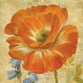 thumbnail image 2 of Gladding, Pamela 12x12 White Modern Wood Framed Museum Art Print Titled - Primavera II, 2 of 4