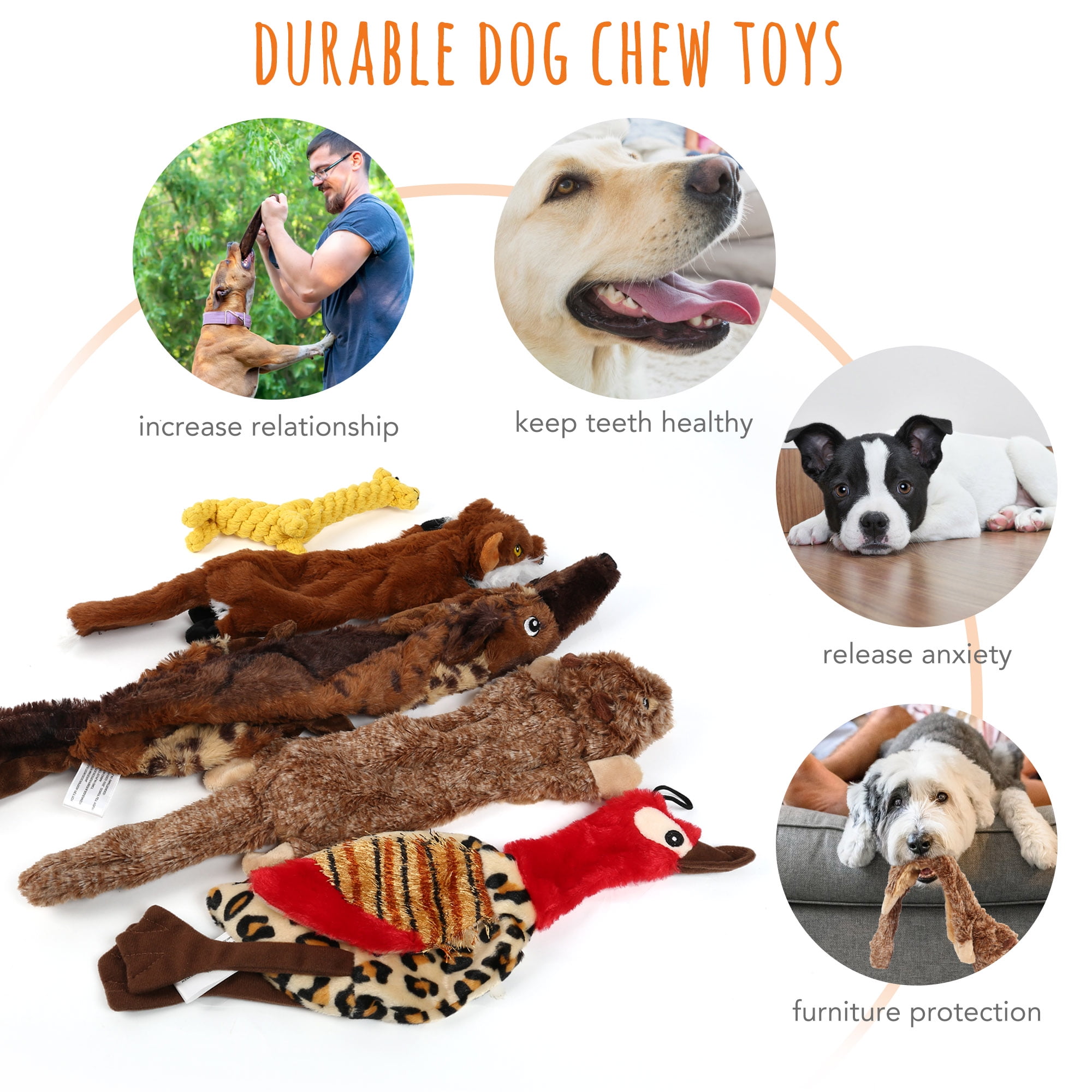 LotFancy 5pcs Dog Squeaky Toys for Small Medium Dog, No Stuffing