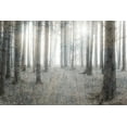 thumbnail image 2 of Kimberly, Allen 18x13 Black Ornate Wood Framed with Double Matting Museum Art Print Titled - Forest Dream, 2 of 4
