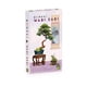 thumbnail image 1 of Expansión Bonsai Wabi Sabi para 5 jugadores DV Games, 1 of 3