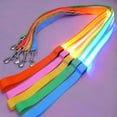 thumbnail image 4 of Set of 4 Glowing Dog Leash Rechargeable and Waterproof Nylon Design for Night Visibility and Safety for All Pet Sizes, 4 of 7