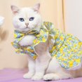 thumbnail image 3 of Ensemble de Vêtements pour Animaux de Compagnie, Robe pour Chien avec Manches Style Princesse et Imprimé Floral, Coiffe d'Été pour Chat, Lavable et Portable, 3 of 8