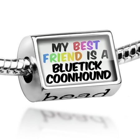 Bead My best Friend a Bluetick Coonhound Dog from United States Charm Fits All European (Best State To Be A Firefighter)