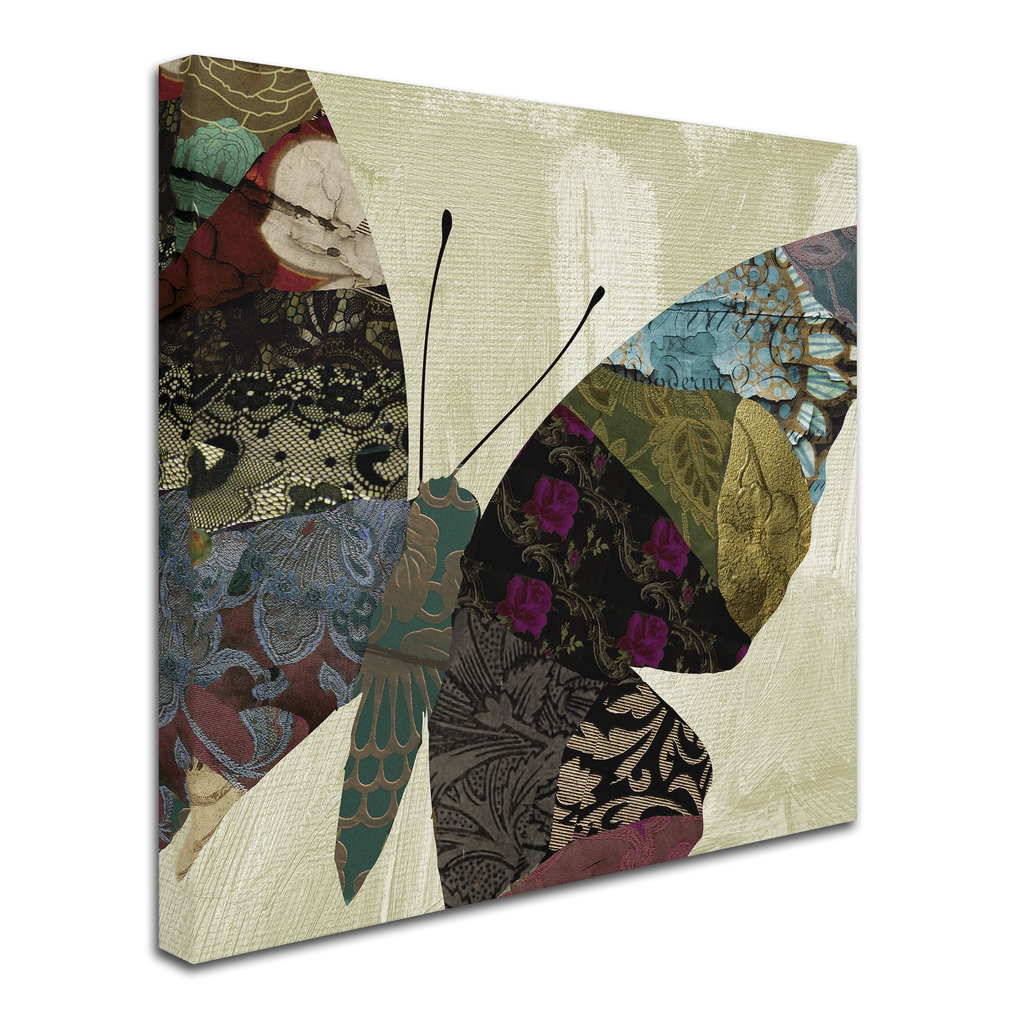 Trademark Fine Art "Butterfly Brocade IV" Canvas Art by Color Bakery