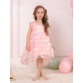 thumbnail image 5 of IBTOM CASTLE Toddler Baby Girls Birthday Party Dress Butterfly Embroidery Princess Tulle Tutu Wedding Pageant Evening Prom Ball Gown 12-18 Months Pink Floral, 5 of 8