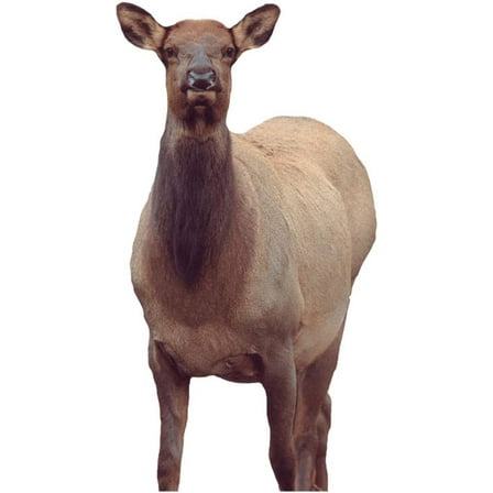 Montana Decoy Eichler Elk