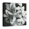 thumbnail image 2 of Creative Products Black and White Flower 16x16 Canvas Wall Art, 2 of 5