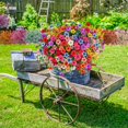 thumbnail image 3 of Flores artificiales Agusbagli, 72 paquetes, resistentes a los rayos UV para exteriores, 3 of 8