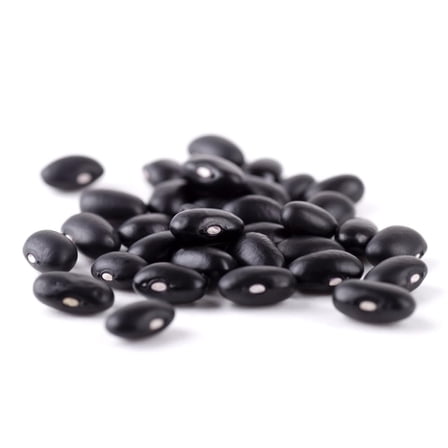 Cherokee Trail of Tears Bean Seeds for Planting (20 Seeds) - Delicious and Easy to Grow