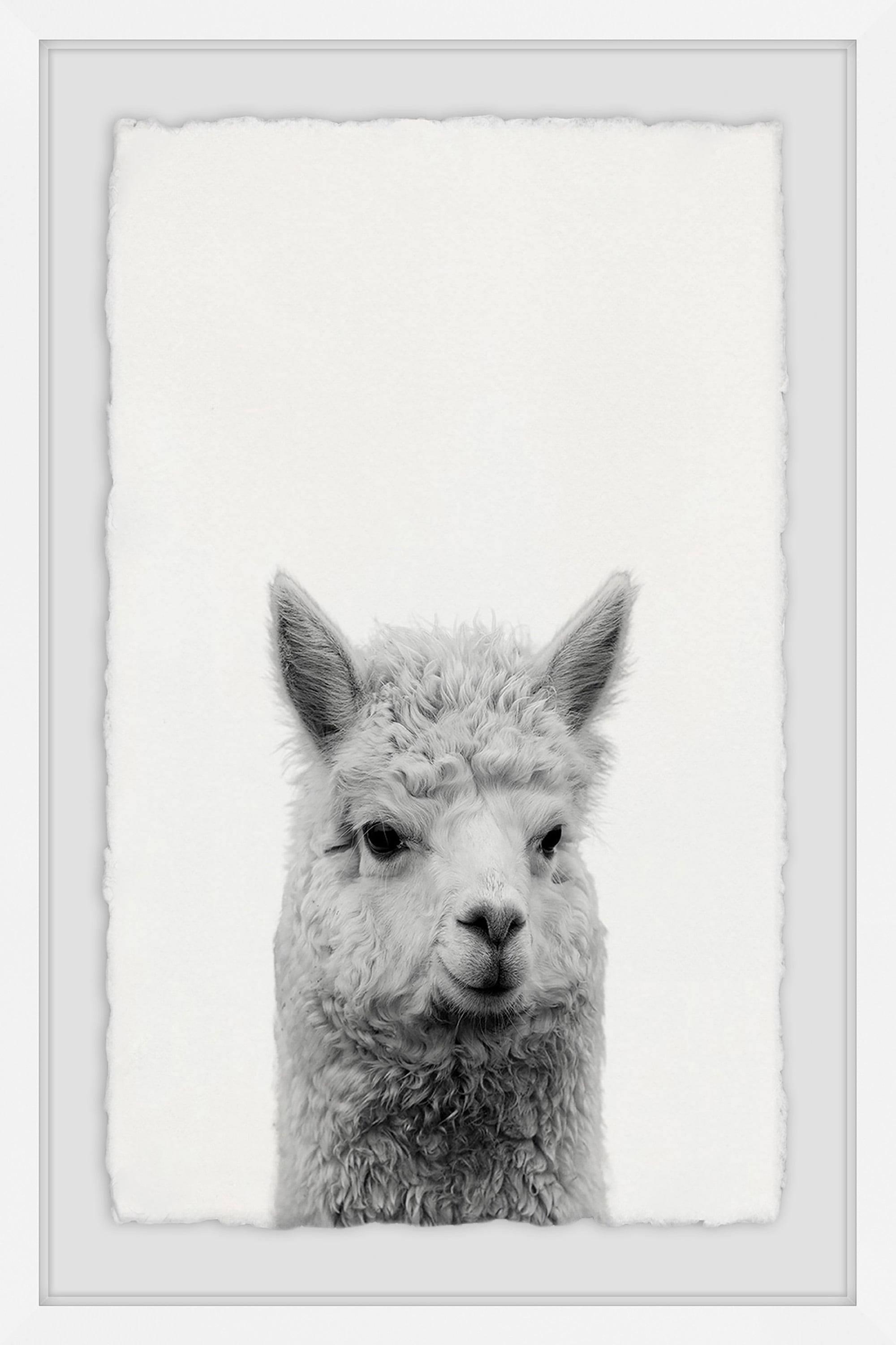Gen X Llama Framed Painting Print