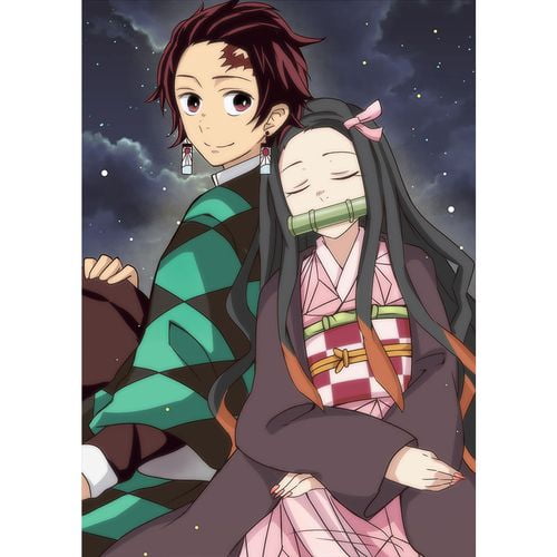 Taicanon Demon Slayer Characters Poster Anime Manga Room Decoration Pictures Coated Paper Posters Style4 Walmart Com