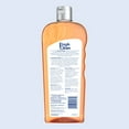 PetAg Fresh 'n Clean Scented Dog Shampoo Classic Fresh Scent